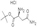 H-ASN-OTBU