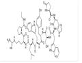 Deslorelin