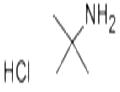 2-AMINO-2-METHYLPROPANE HYDROCHLORIDE