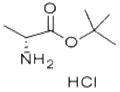 D-Alanine tert-butyl ester hydrochloride