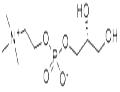 Choline glycerophosphate