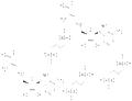 Ademetionine 1,4-butanedisulfonate