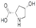cis-4-Hydroxy-L-proline