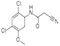 2-CYANO-N-(2,4-DICHLORO-5-METHOXYPHENYL) ACETAMIDE pictures