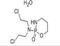 Cyclophosphamide monohydrate