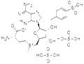 Ademetionine disulfate tosylate