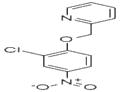 2-[(2-Chloro-4-nitrophenoxy)methyl]pyridine pictures