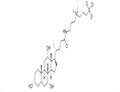 3-((3-Cholamidopropyl)dimethylammonium)-1-propanesulfonate