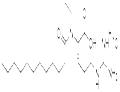 ETHYL LAUROYL ARGINATE HCL