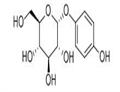 alpha-Arbutin