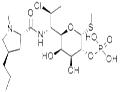 Clindamycin phosphate