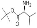 tert-Butyl L-valinate