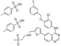 Lapatinib Ditosylate