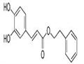 Phenethyl caffeate