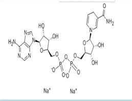beta-Nicotinamide adenine dinucleotide disodium salt