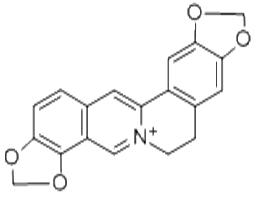 COPTISINE