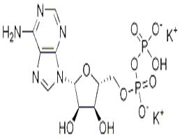 Adenosine 5'-diphosphate dipotassiuM salt