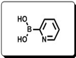 2-Pyridineboronic acid