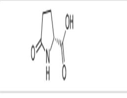 D-Pyroglutamic acid