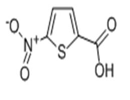 5-Nitrothiophene-2-carboxylic acid