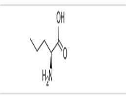 L-Norvaline