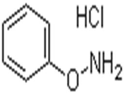 O-PHENYLHYDROXYLAMINE HYDROCHLORIDE