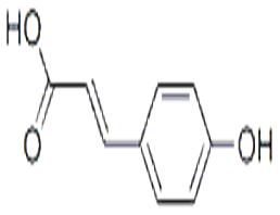 4-Hydroxycinnamic acid