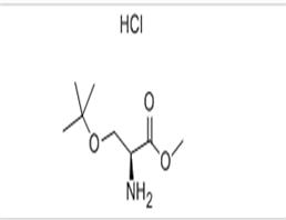 O-tert-Butyl-L-serine methyl ester hydrochloride