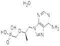 9-[(R)-2-(Phosphonomethoxy)propyl]adenine monohydrate pictures