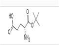 D-Glutamic acid 1-tert-butyl ester pictures