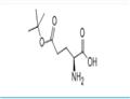 L-Glutamic acid 5-tert-butyl ester pictures