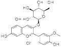 PEONIDIN-3-GLUCOSIDE CHLORIDE