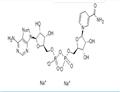 	beta-Nicotinamide adenine dinucleotide disodium salt