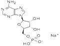 ADENOSINE5'-MONOPHOSPHATESODIUMSALT