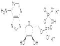 Adenosine 5'-diphosphate dipotassiuM salt pictures