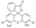 Fluorescein disodium salt