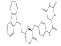 N-[(9H-Fluoren-9-ylMethoxy)carbonyl]-4-[[[(4S)-hexahydro-2,6-dioxo-4-pyriMidinyl]carbonyl]aMino]-L-phenylalanine pictures