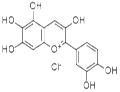 QUERCETAGETINIDIN CHLORIDE WITH HPLC