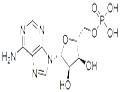 Adenosine 5'-monophosphate