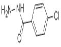 4-CHLOROBENZHYDRAZIDE pictures