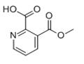 ETHYL 2-CARBOXYPYRIDINE-3-CARBOXYLATE pictures