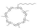 mono-(6-(1,6-hexamethylenediamine)-6-deoxy)-β-Cyclodextrin