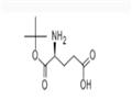 L-Glutamic acid α-tert·butyl ester