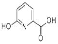 6-Hydroxypicolinic acid