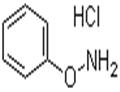 O-PHENYLHYDROXYLAMINE HYDROCHLORIDE pictures