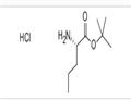 L-Norvaline tert-butyl ester hydrochloride pictures