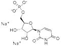 Disodium uridine-5'-monophosphate