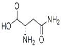 L-Asparagine