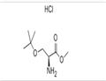 O-tert-Butyl-L-serine methyl ester hydrochloride