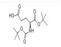 Boc-L-glutamic acid 1-tert-butyl ester pictures
